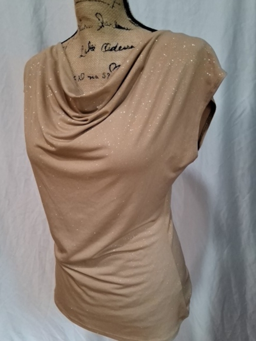 The Limited Beige Sparkle Cowl Neck Top